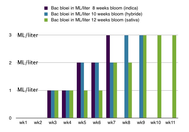 bac-bloom schedule